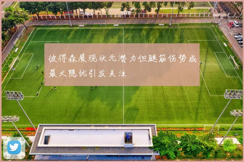 彼得森展现状元潜力但腿筋伤势成最大隐忧引发关注