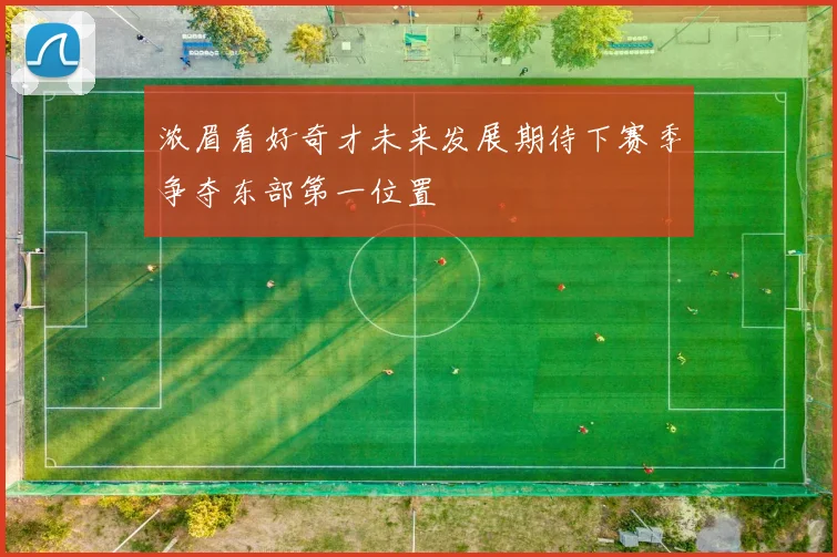 浓眉看好奇才未来发展期待下赛季争夺东部第一位置